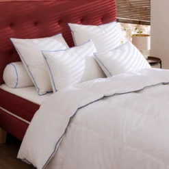 Couette prestige hôtellerie duvet de canard Someo