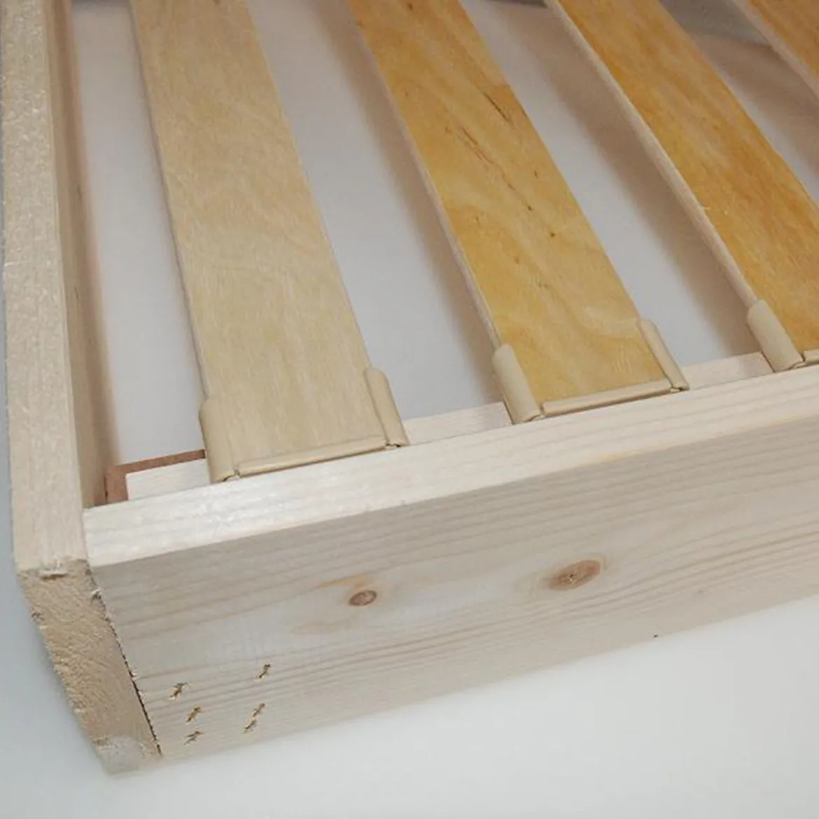 Kit de 10 Embouts de Lattes à Agrafer pour Cadre Bois