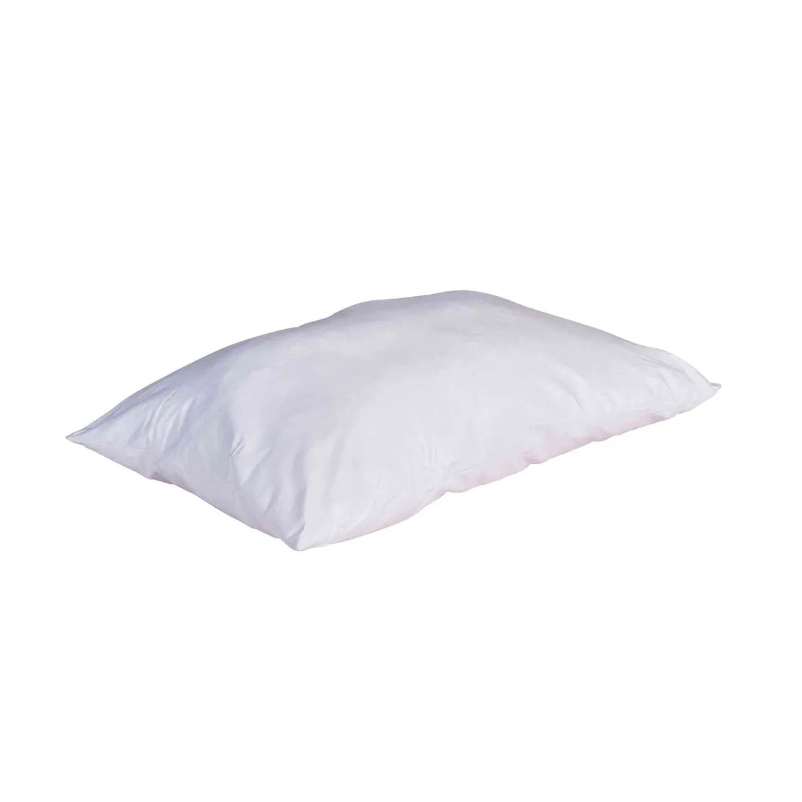Lot de 2 oreillers anti-punaises et anti-insectes moelleux enveloppe microfibre
