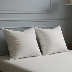 Lot de 2 oreillers grand confort 60x60