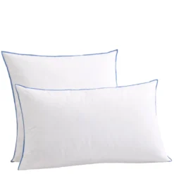 Lot de 2 oreillers moelleux duvet de canard anti-allergènes Someo