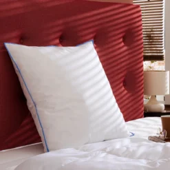 Lot de 2 oreillers moelleux/ferme duvet de canard anti-allergènes Someo