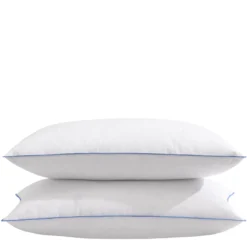 Lot de 2 oreillers moelleux/ferme duvet de canard anti-allergènes Someo