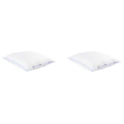 Lot de 2 oreillers moelleux/ferme duvet de canard anti-allergènes Someo