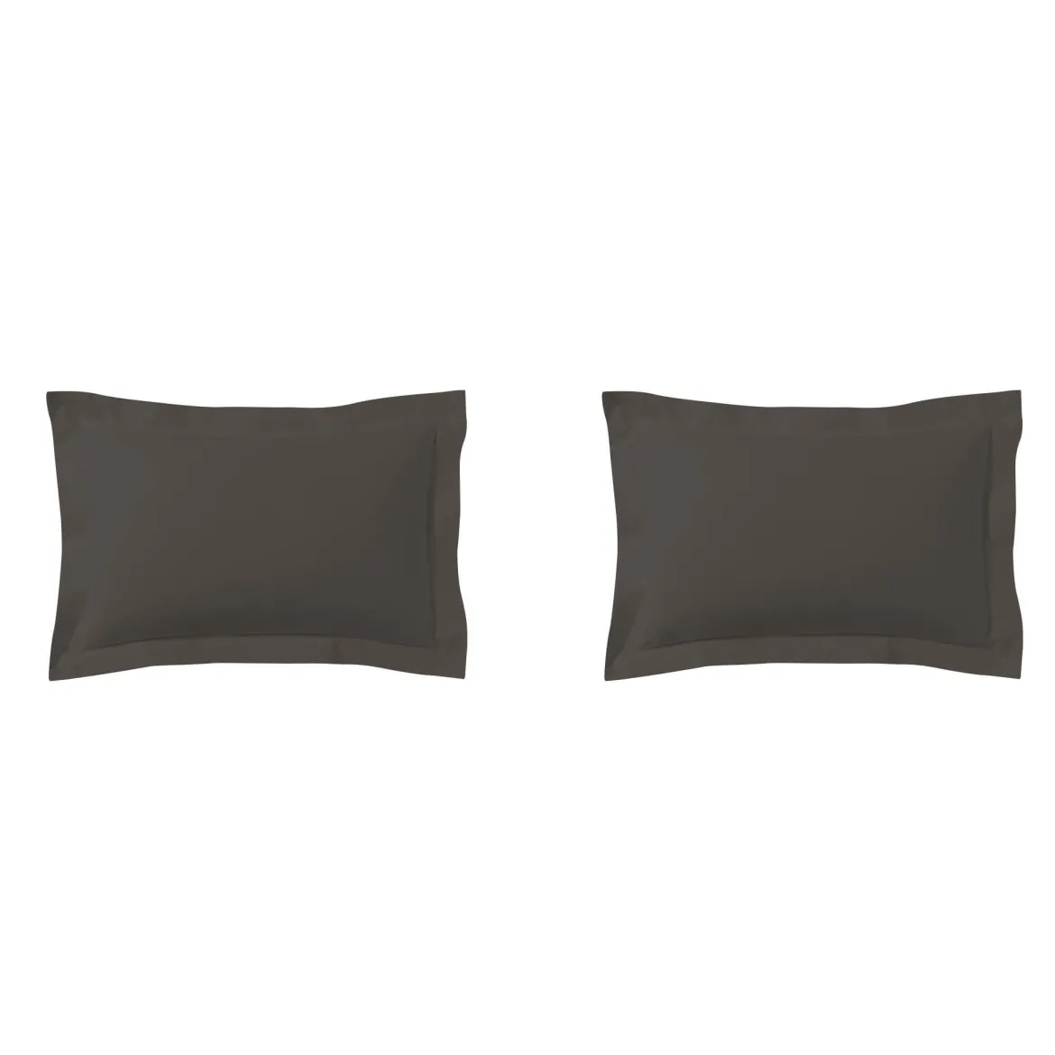 Lot de 2 taies d'oreillers zinc 100% coton