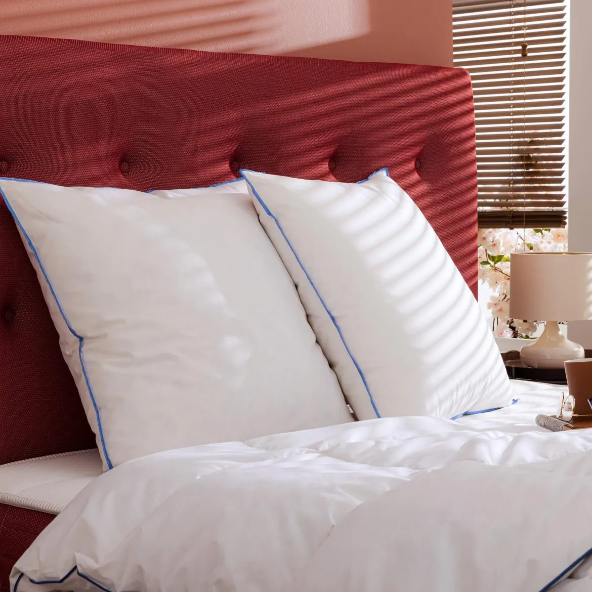 Oreiller moelleux duvet de canard anti-allergènes Someo