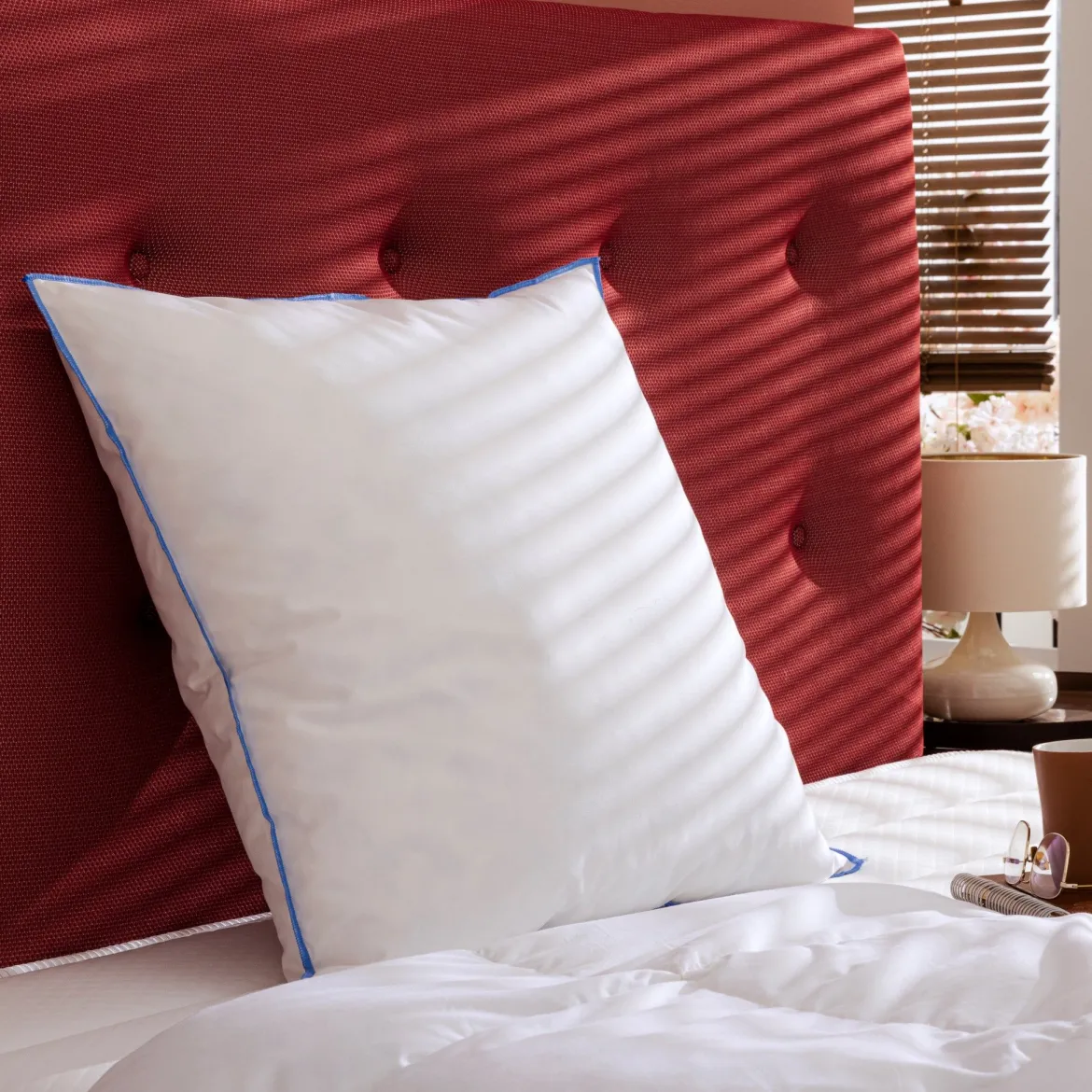 Oreiller moelleux duvet de canard anti-allergènes Someo
