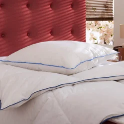 Oreiller moelleux/ferme duvet de canard anti-allergènes Someo