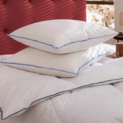 Oreiller moelleux/ferme duvet de canard anti-allergènes Someo