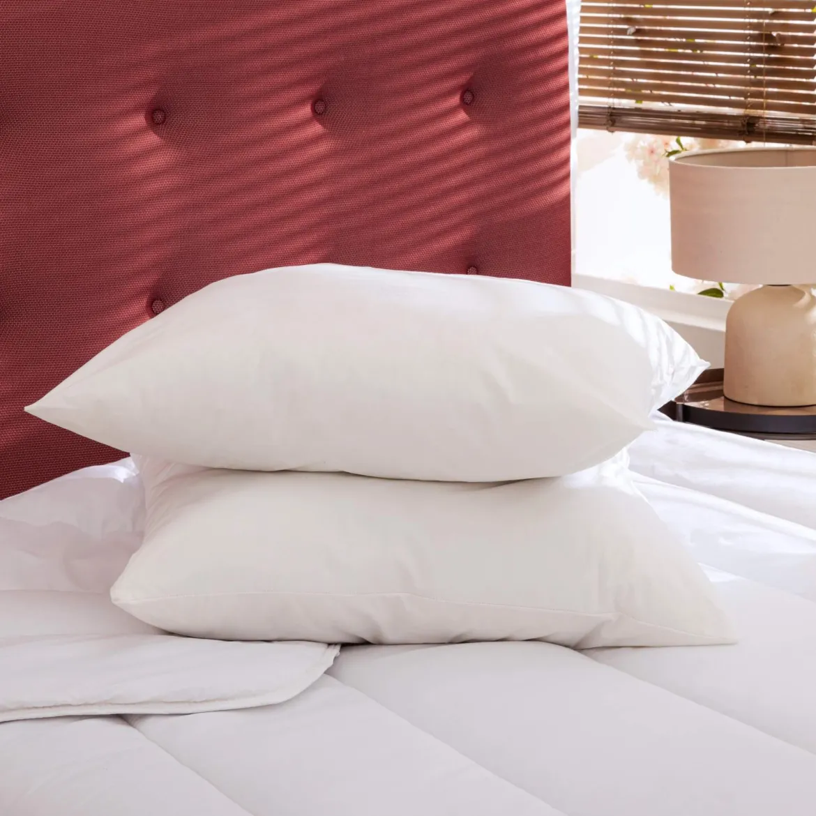 Pack couette été et oreiller moelleux bio - Someo