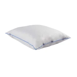 Pack oreiller et traversin moelleux duvet de canard anti-allergènes Someo