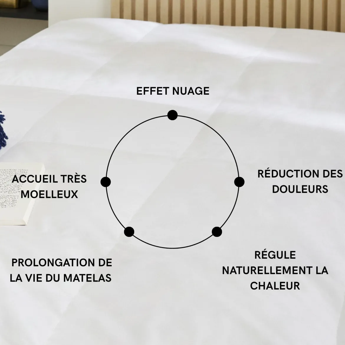 Surmatelas duvet et plumes de canard Someo Rêve