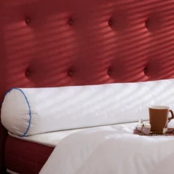 Traversin duvet de canard anti-allergènes moelleux Someo